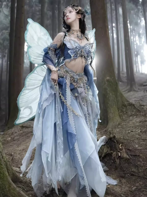 Butterfly Fairy Heavily Embroidered Gradient Exotic Dress