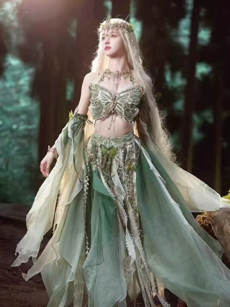 Butterfly Fairy Heavily Embroidered Gradient Exotic Dress